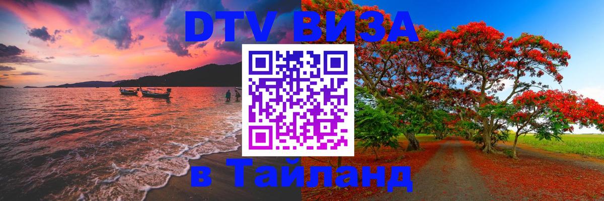 Сколько стоит DTV виза — актуальные цены, оформление даже без документов - 19.11.2025 